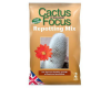 Cactus Focus Re-potting Mix 2 Litres