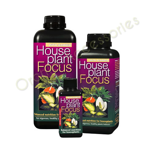 House Plant Focus 100ml